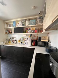 Village @ Pasir Panjang (D5), Condominium #451925771